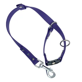 Biothane Grooming Slip Loop with Quick Release Buckle 3/4"