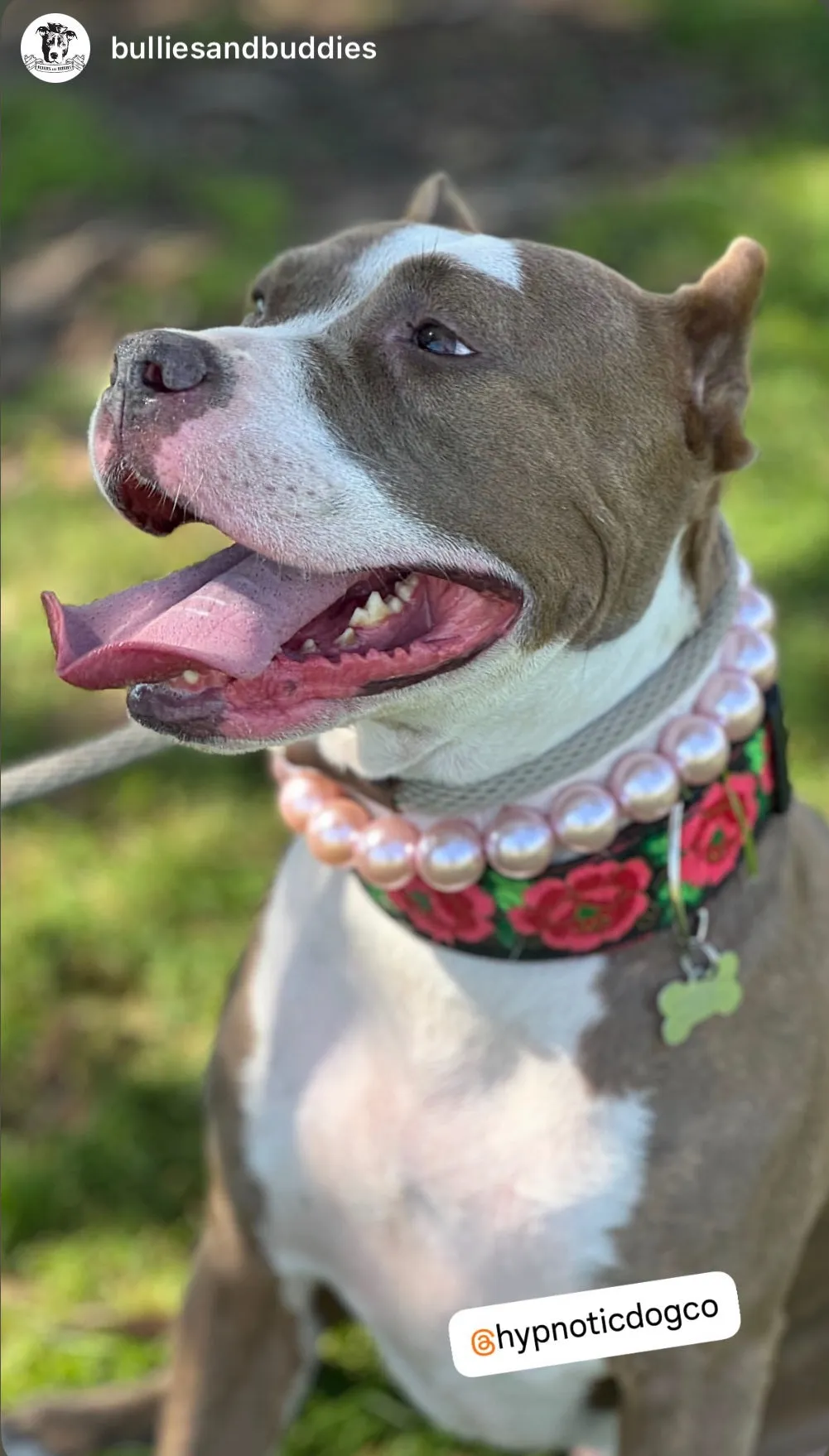 Chunky Blush Pink Pearls Acrylic Bead Collar