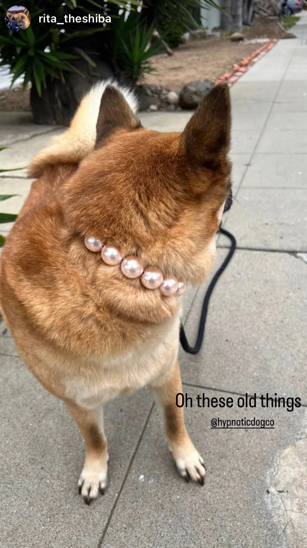Chunky Blush Pink Pearls Acrylic Bead Collar