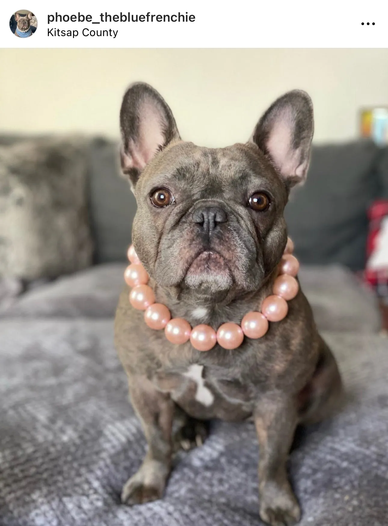 Chunky Blush Pink Pearls Acrylic Bead Collar