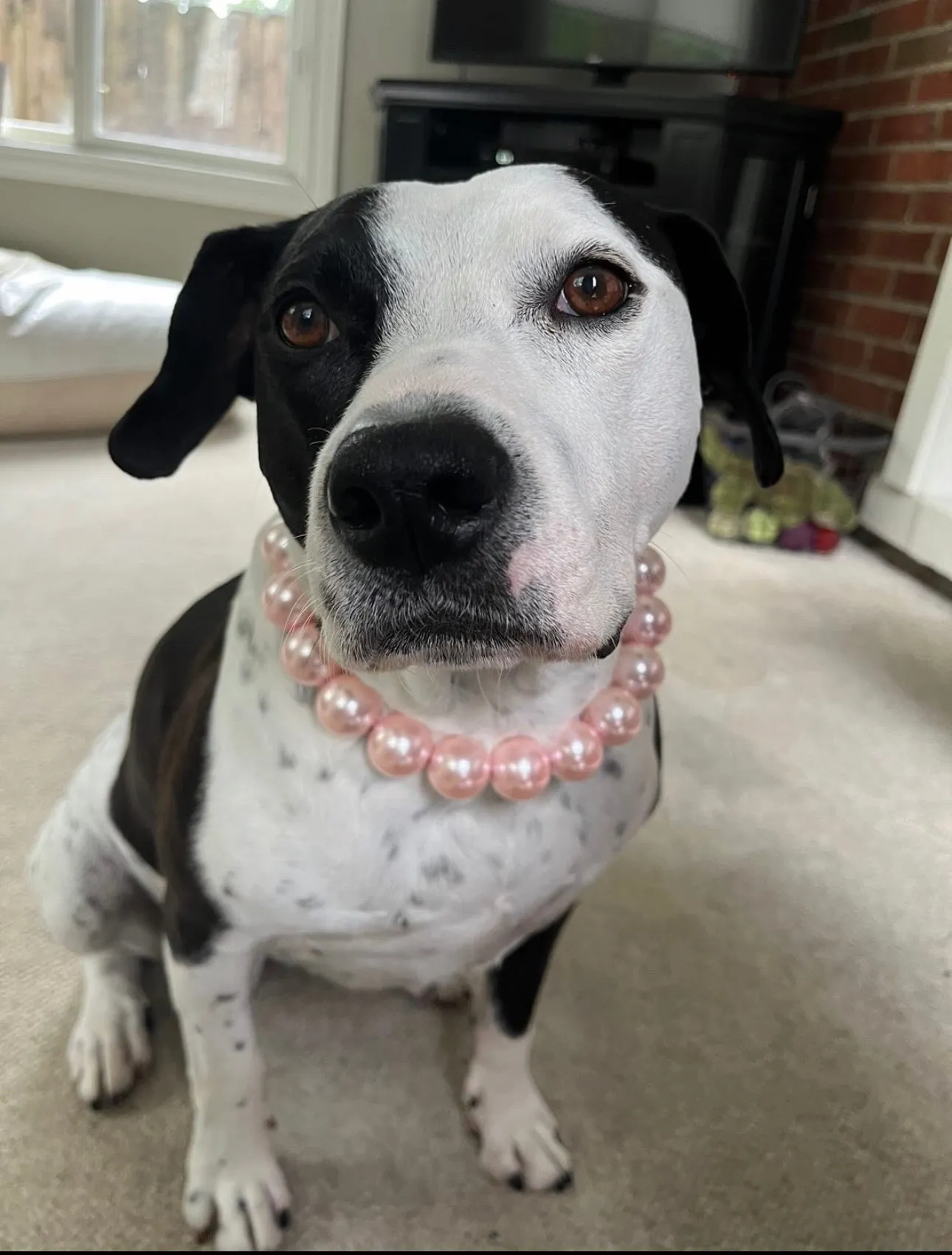 Chunky Blush Pink Pearls Acrylic Bead Collar