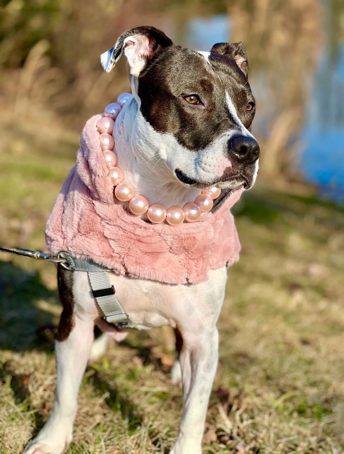 Chunky Blush Pink Pearls Acrylic Bead Collar