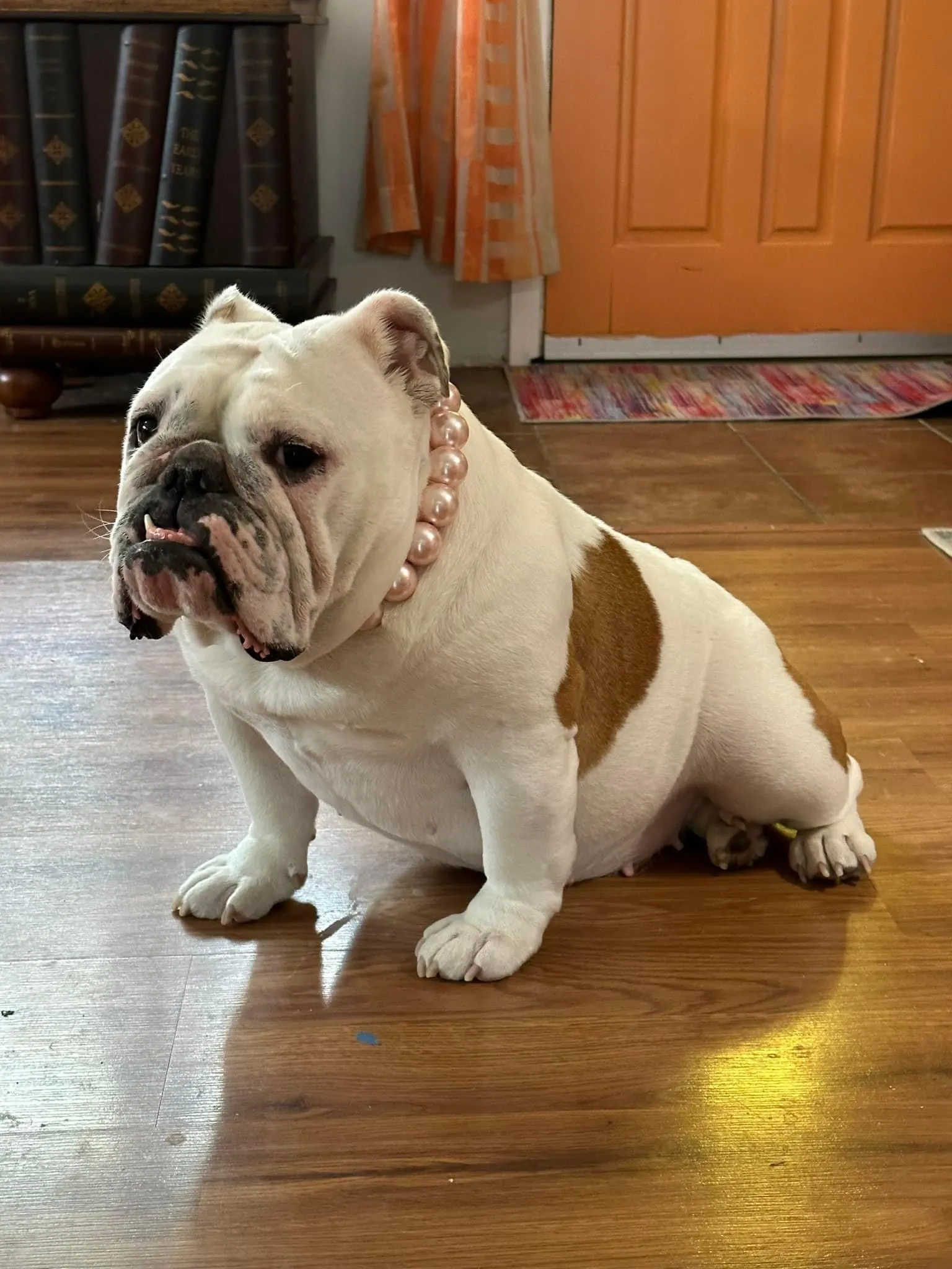 Chunky Blush Pink Pearls Acrylic Bead Collar