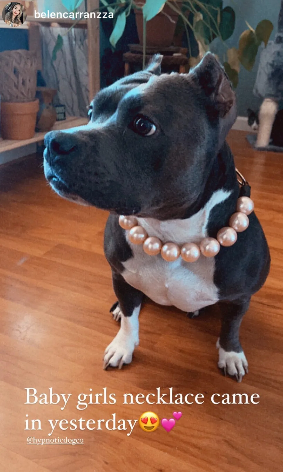 Chunky Blush Pink Pearls Acrylic Bead Collar