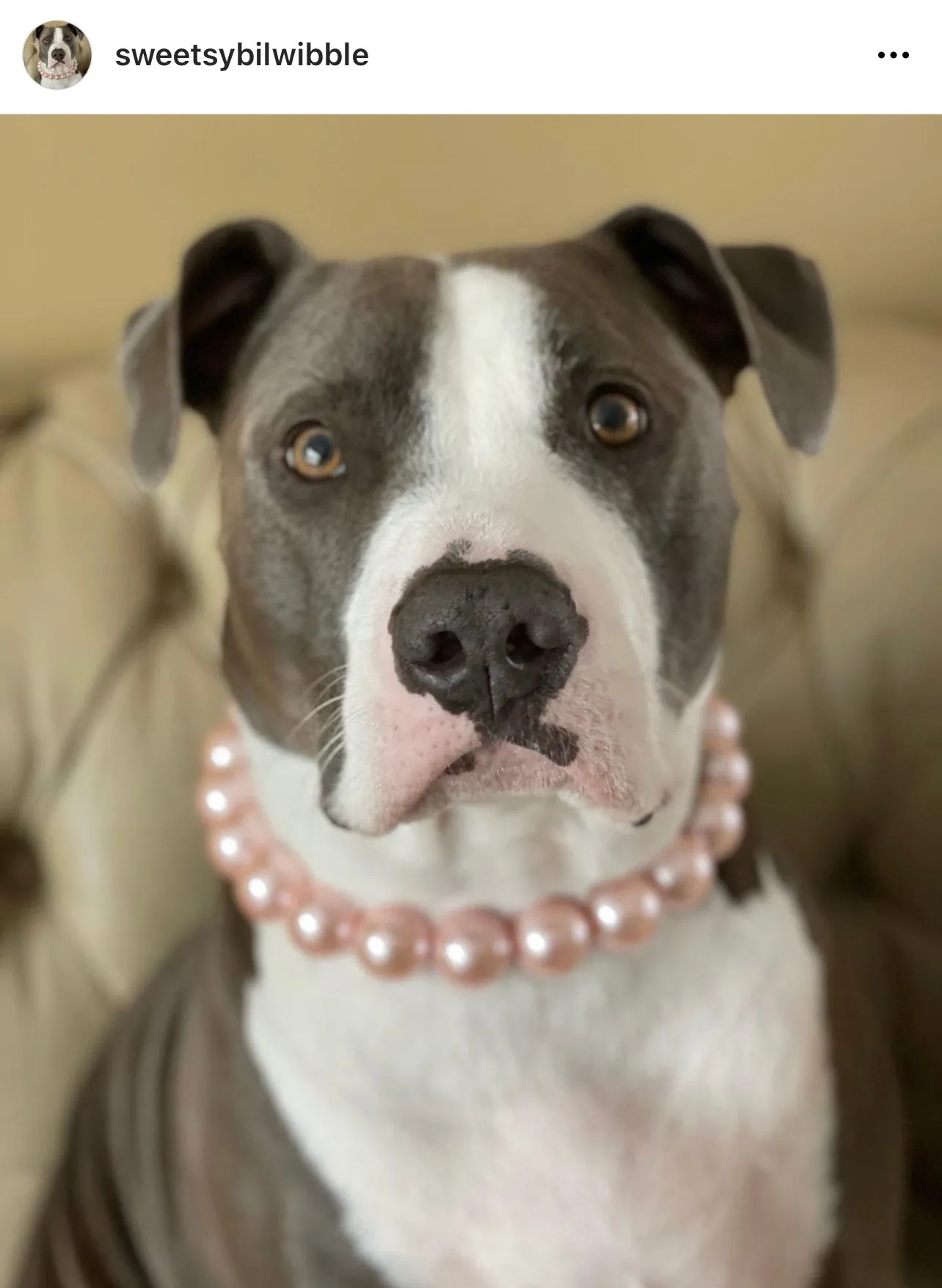 Chunky Blush Pink Pearls Acrylic Bead Collar