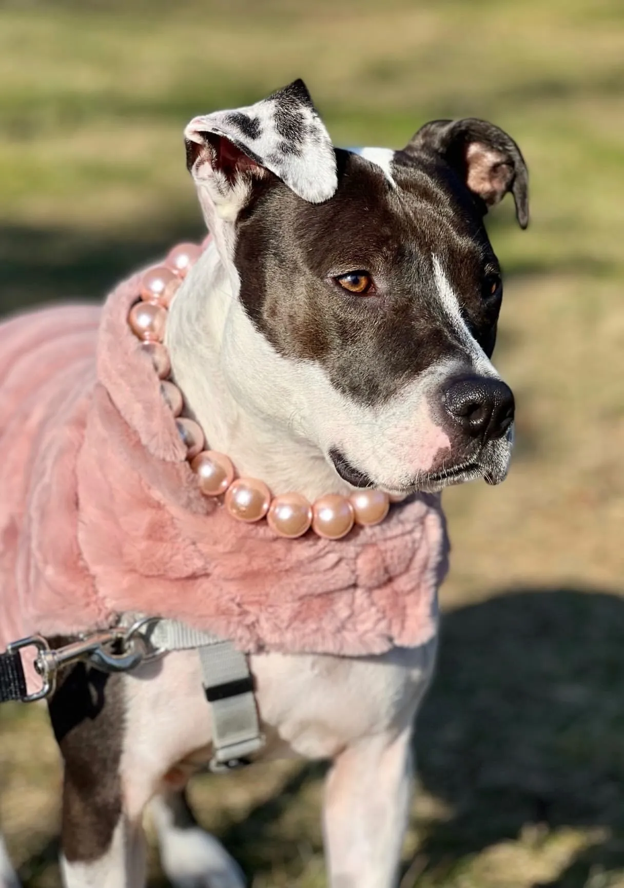 Chunky Blush Pink Pearls Acrylic Bead Collar