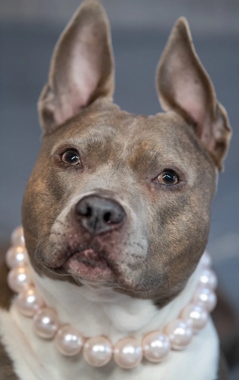 Chunky Blush Pink Pearls Acrylic Bead Collar