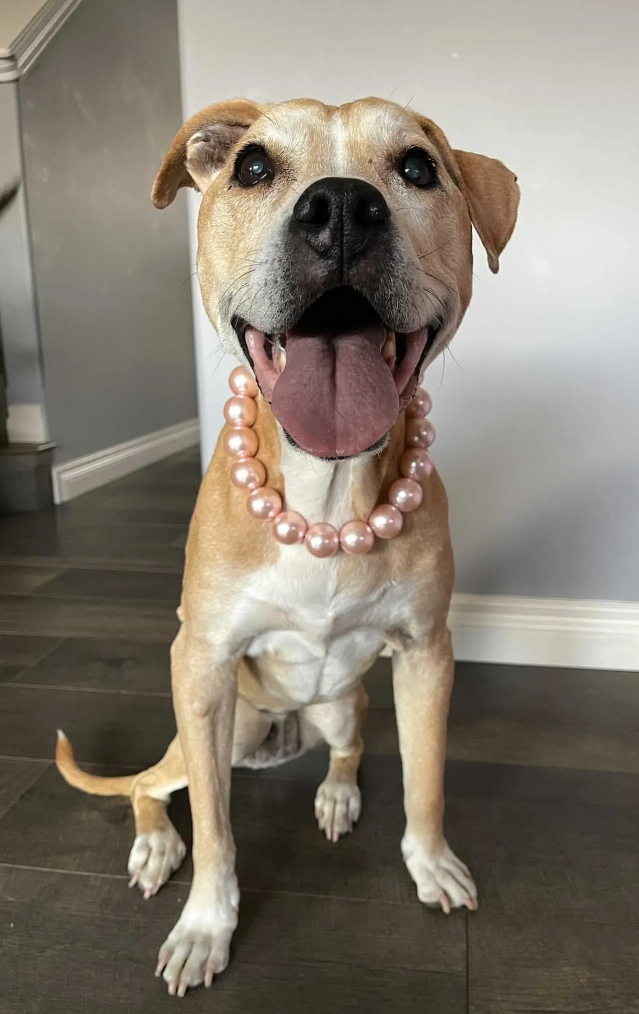 Chunky Blush Pink Pearls Acrylic Bead Collar