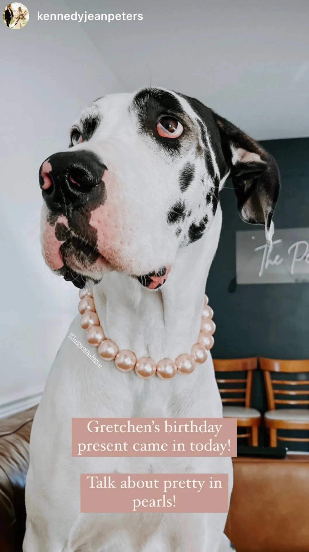 Chunky Blush Pink Pearls Acrylic Bead Collar