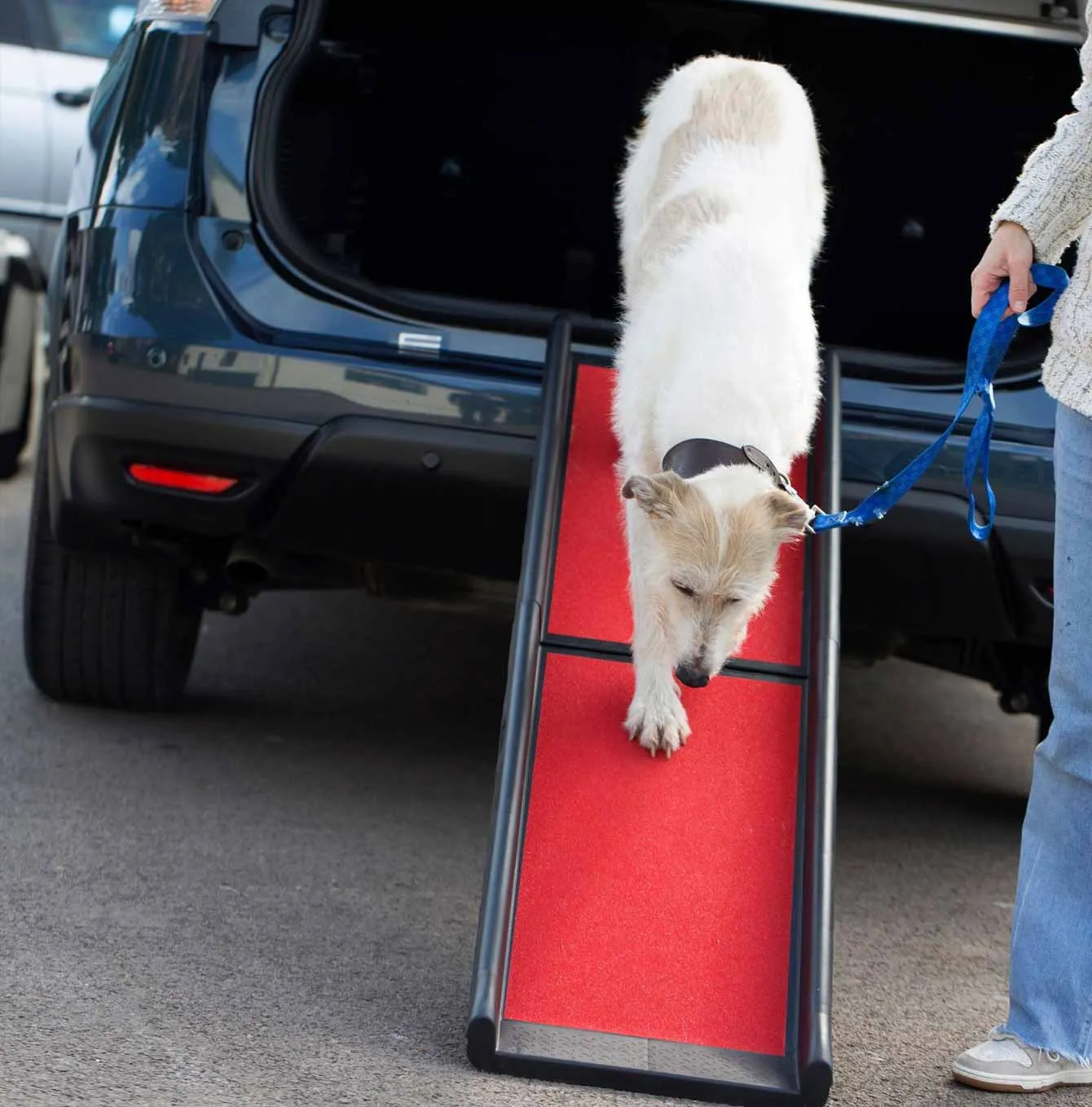 Henry Wag Lightweight Folding Pet Ramp