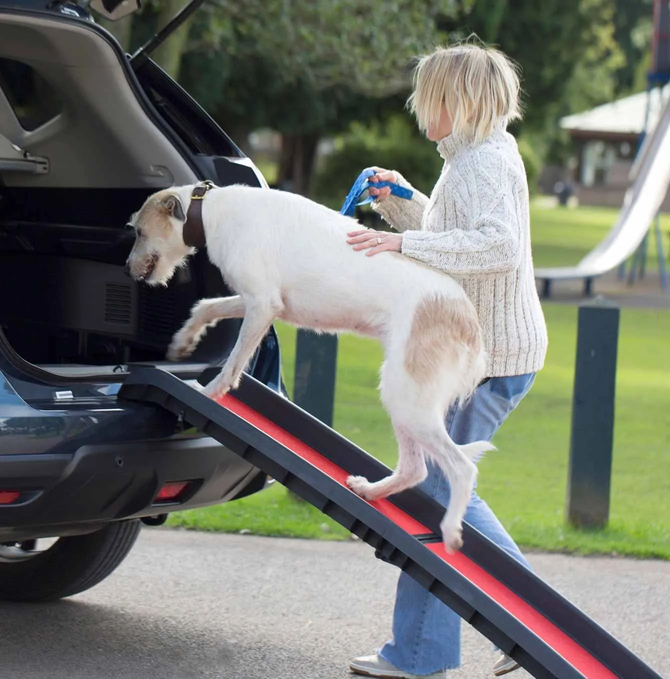 Henry Wag Lightweight Folding Pet Ramp