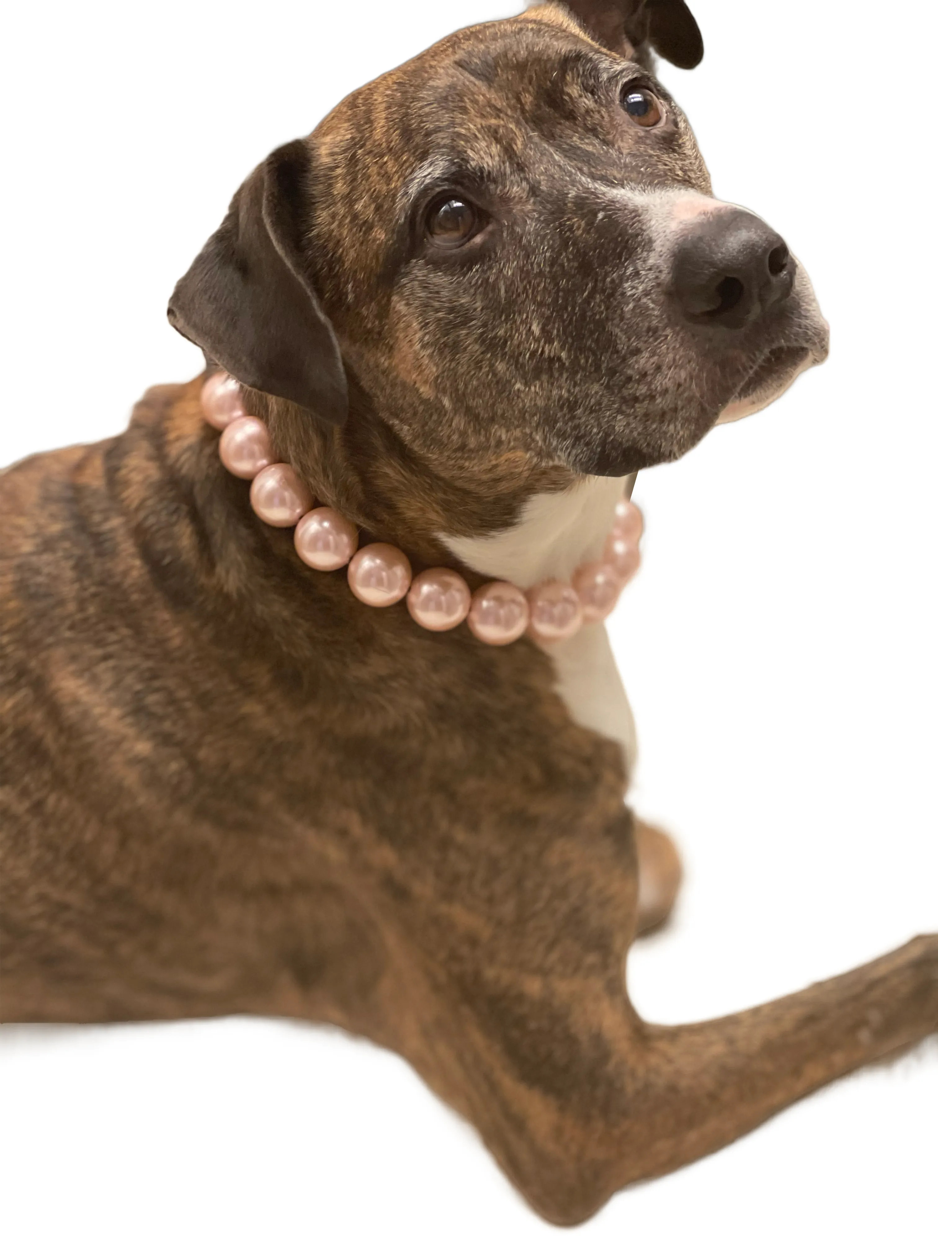 JUMBO Chunky Blush Pink Pearls Acrylic Bead Collar [Scuffed] - Sale