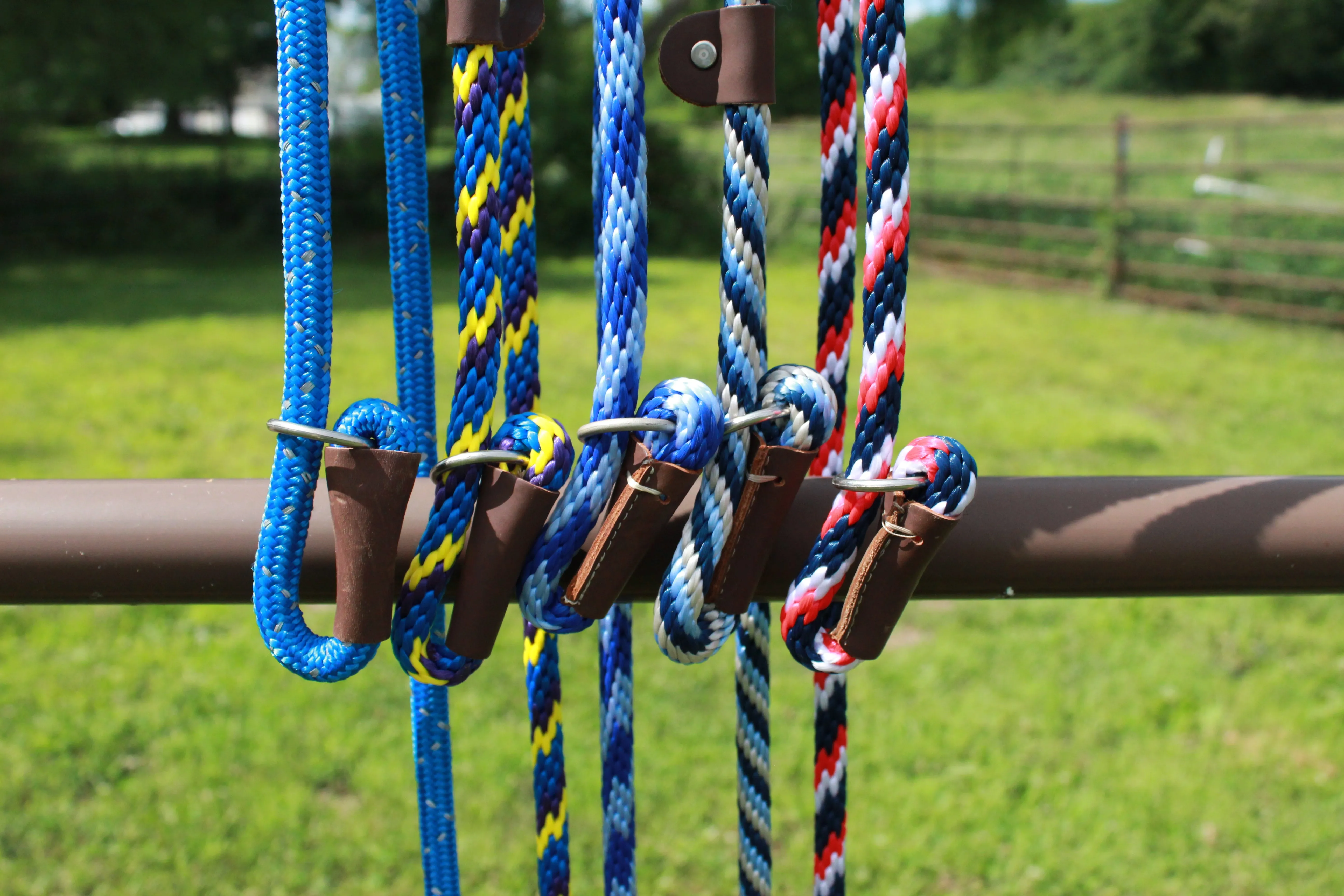 Mendota 1/2" Slip Leashes