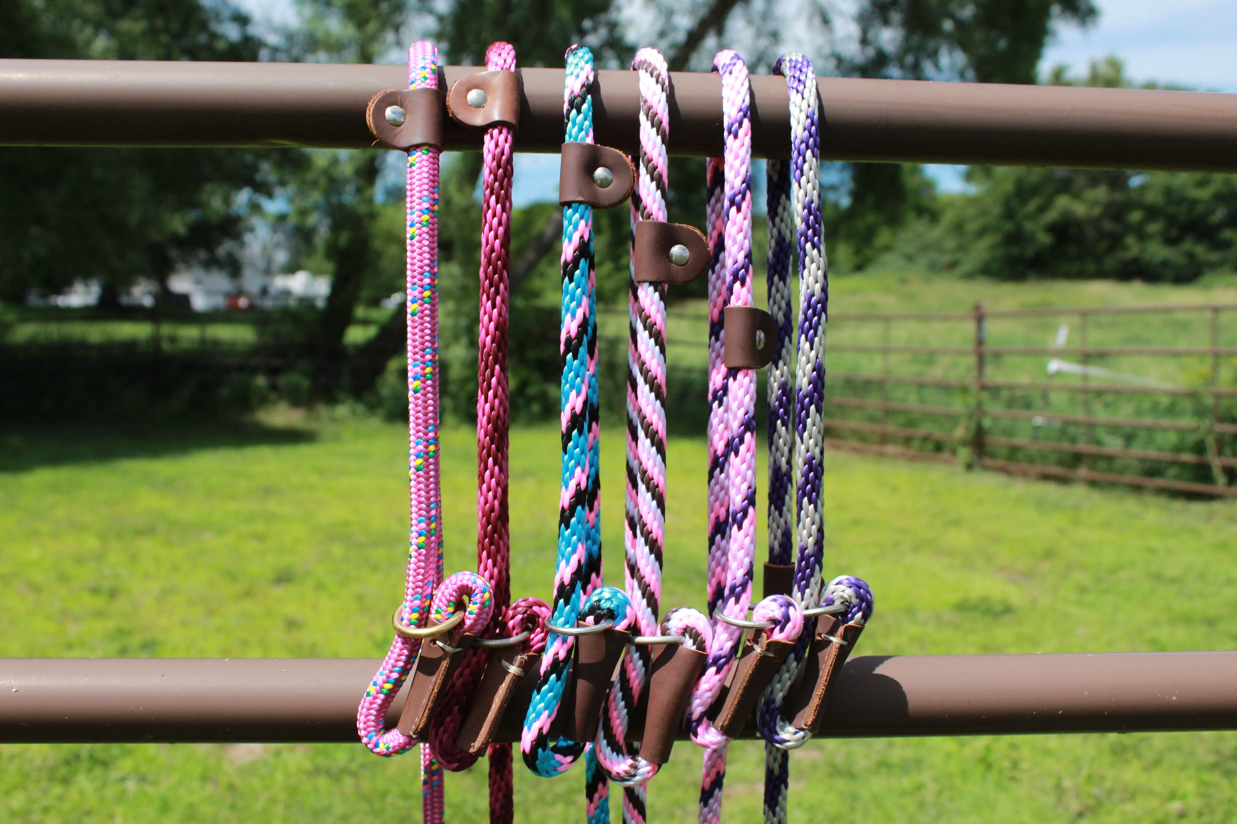 Mendota 1/2" Slip Leashes