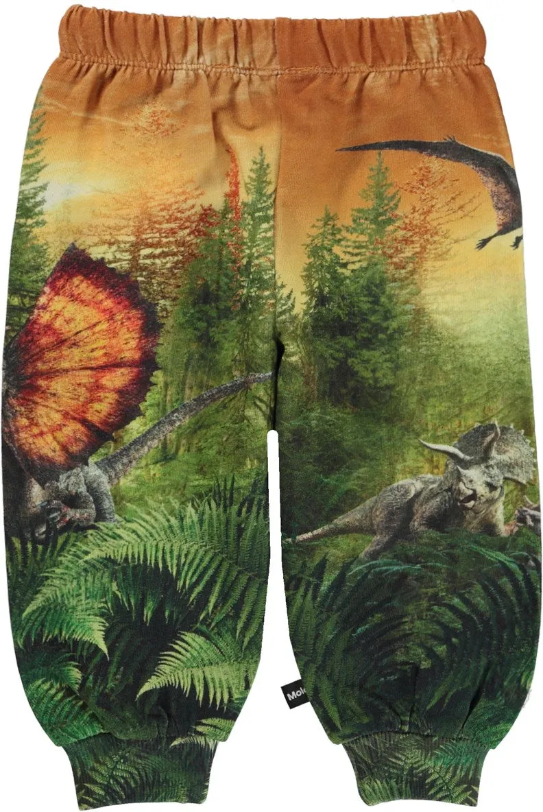 MOLO Joggers