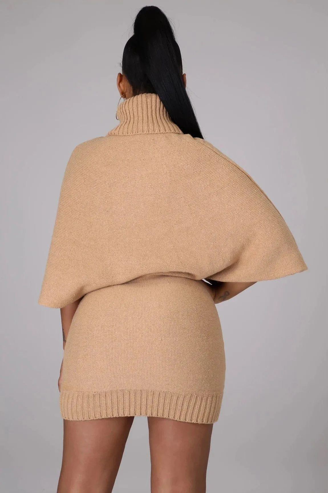 Turtle Neck Mini Sweater Dress
