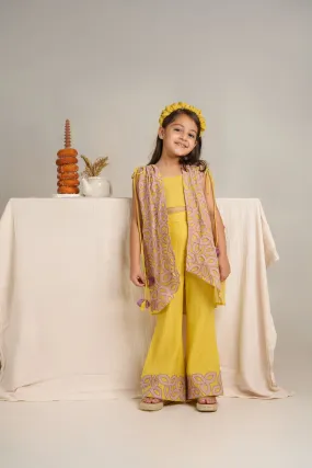 Yellow chanderi silk hand embroidered co-ord set